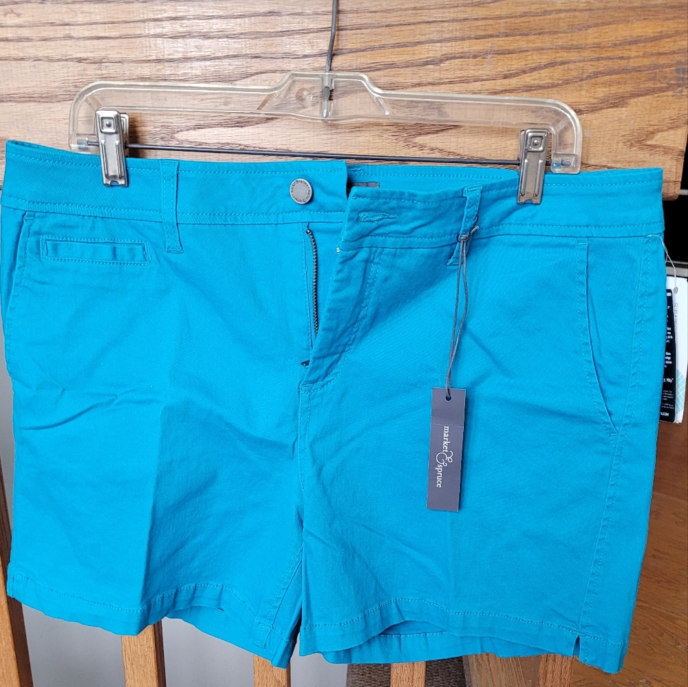 Market and Spruce Blue shorts